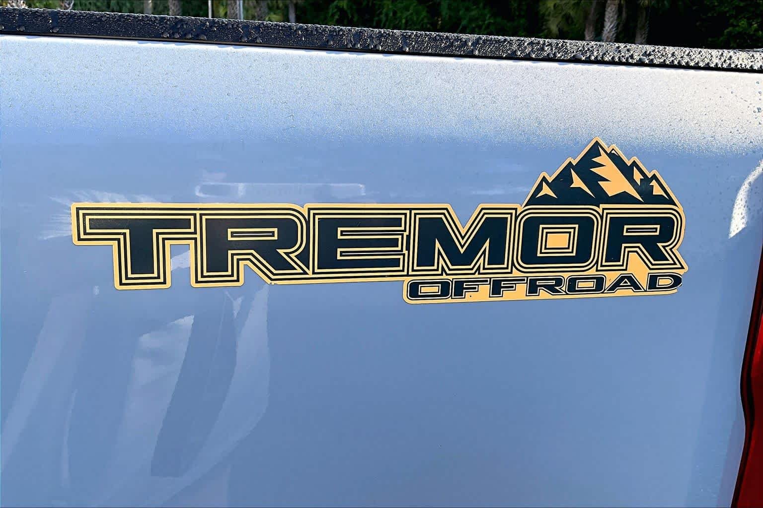 Used 2025 Glacier Gray Metallic Tri-Coat Ford LARIAT image 10