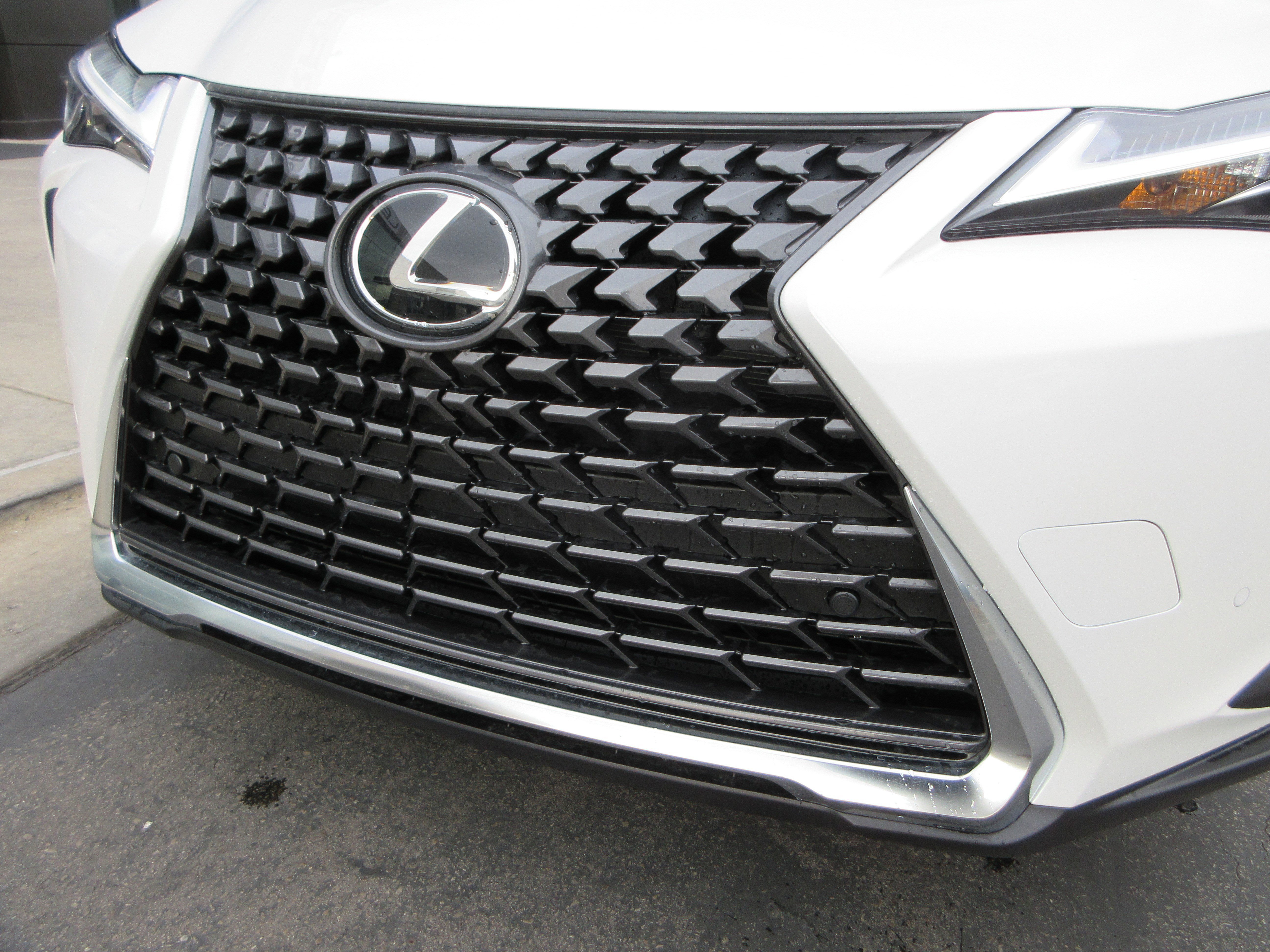 2025 Lexus UX 300h Premium - Photo 15