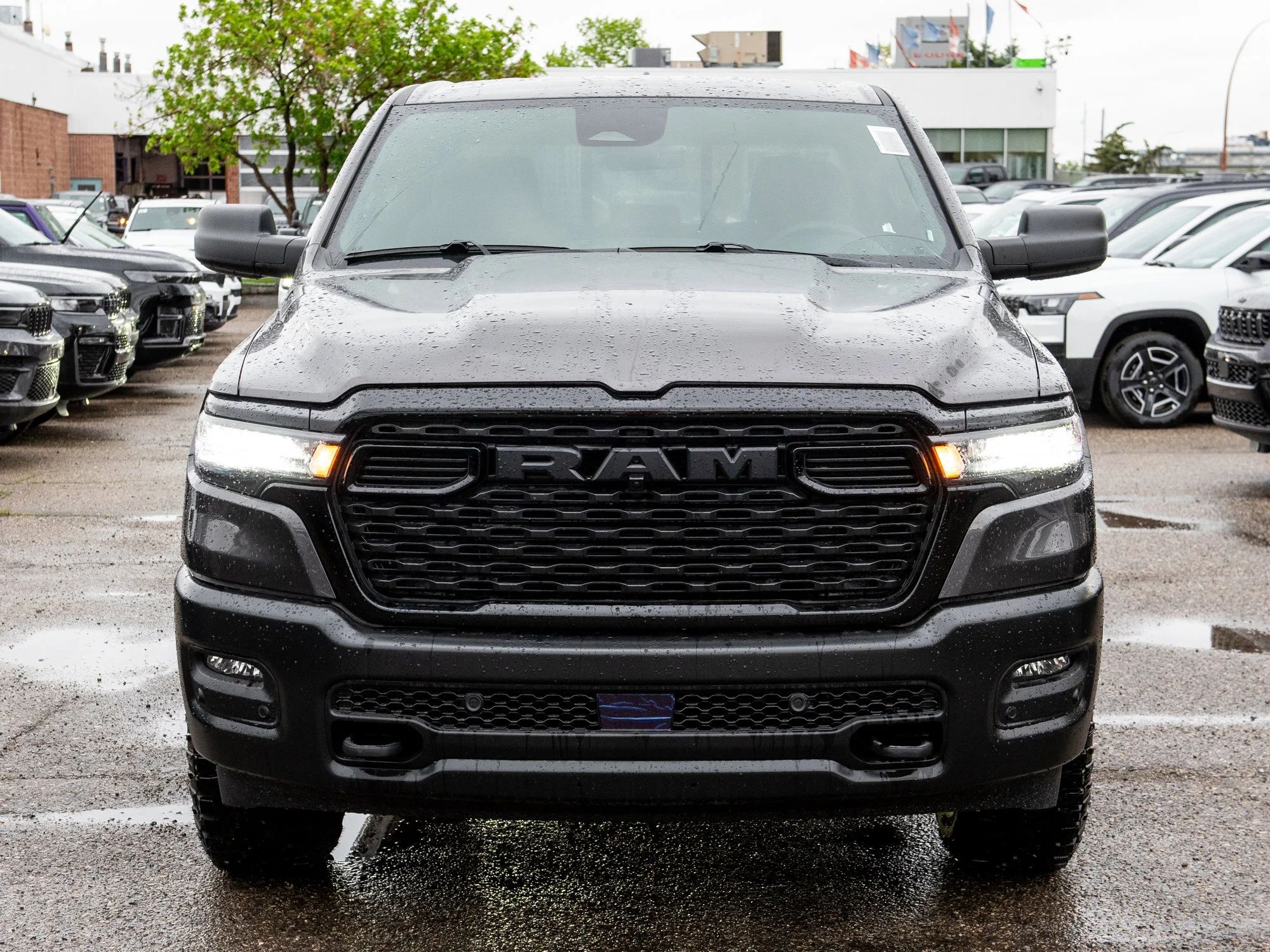 New 2026 Grey RAM Warlock* image 9