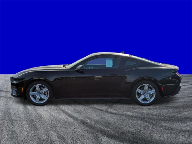 New 2026 Black Ford EcoBoost image 7