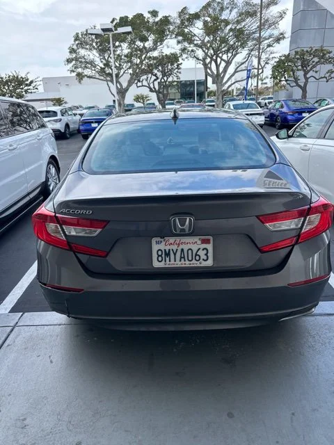 Used 2019 Gray Honda LX image 7