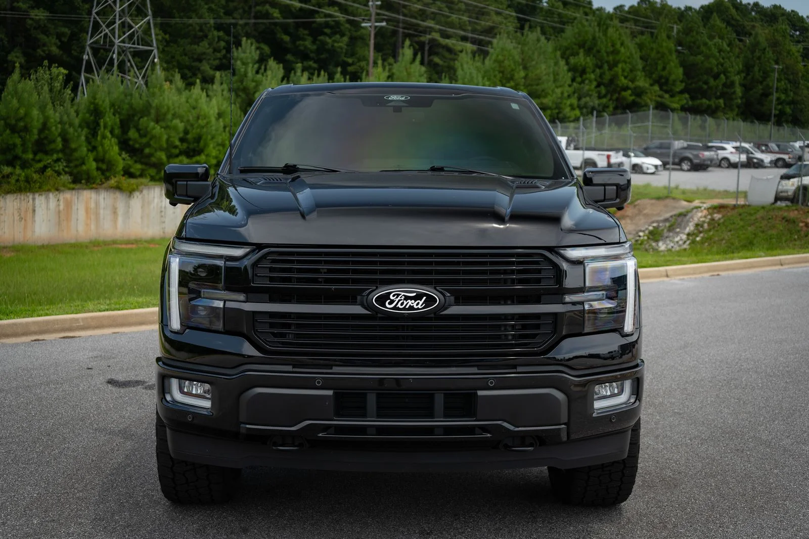 Used 2025 Black Ford Platinum image 9