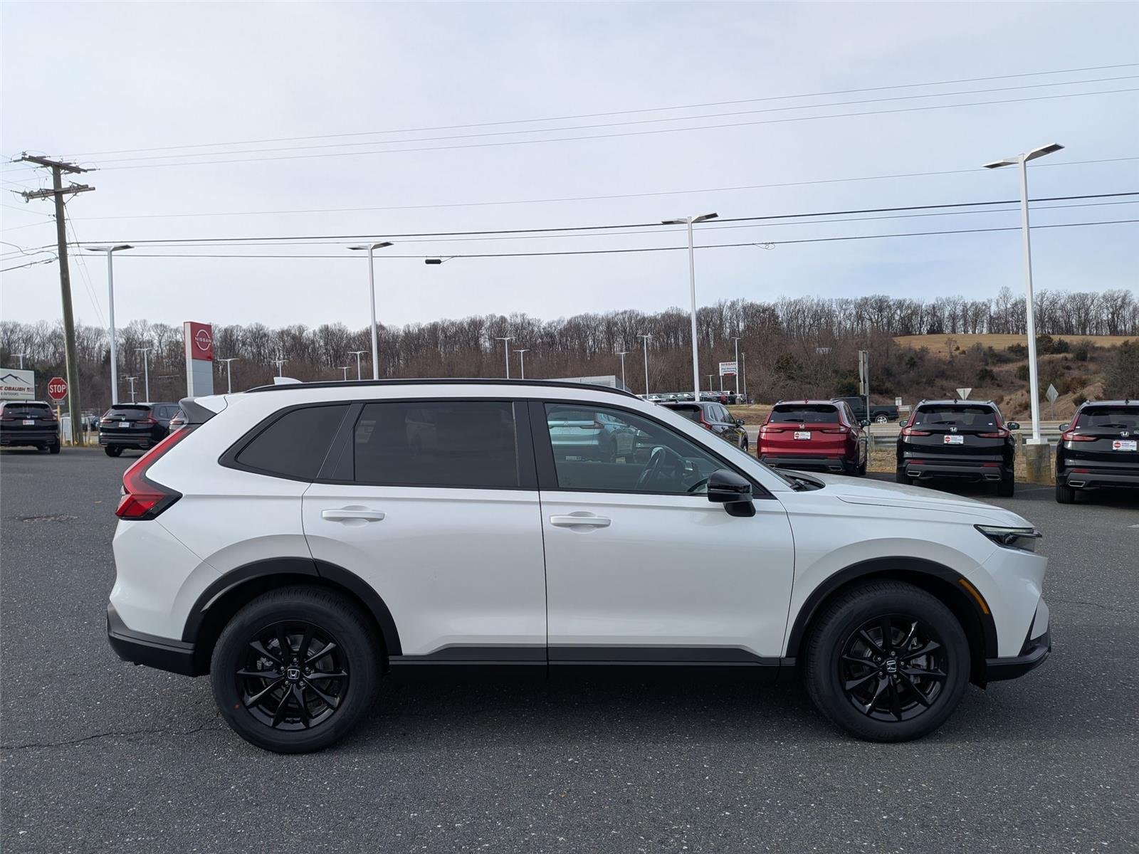 New 2026 Platinum White Pearl Honda Sport-L image 4