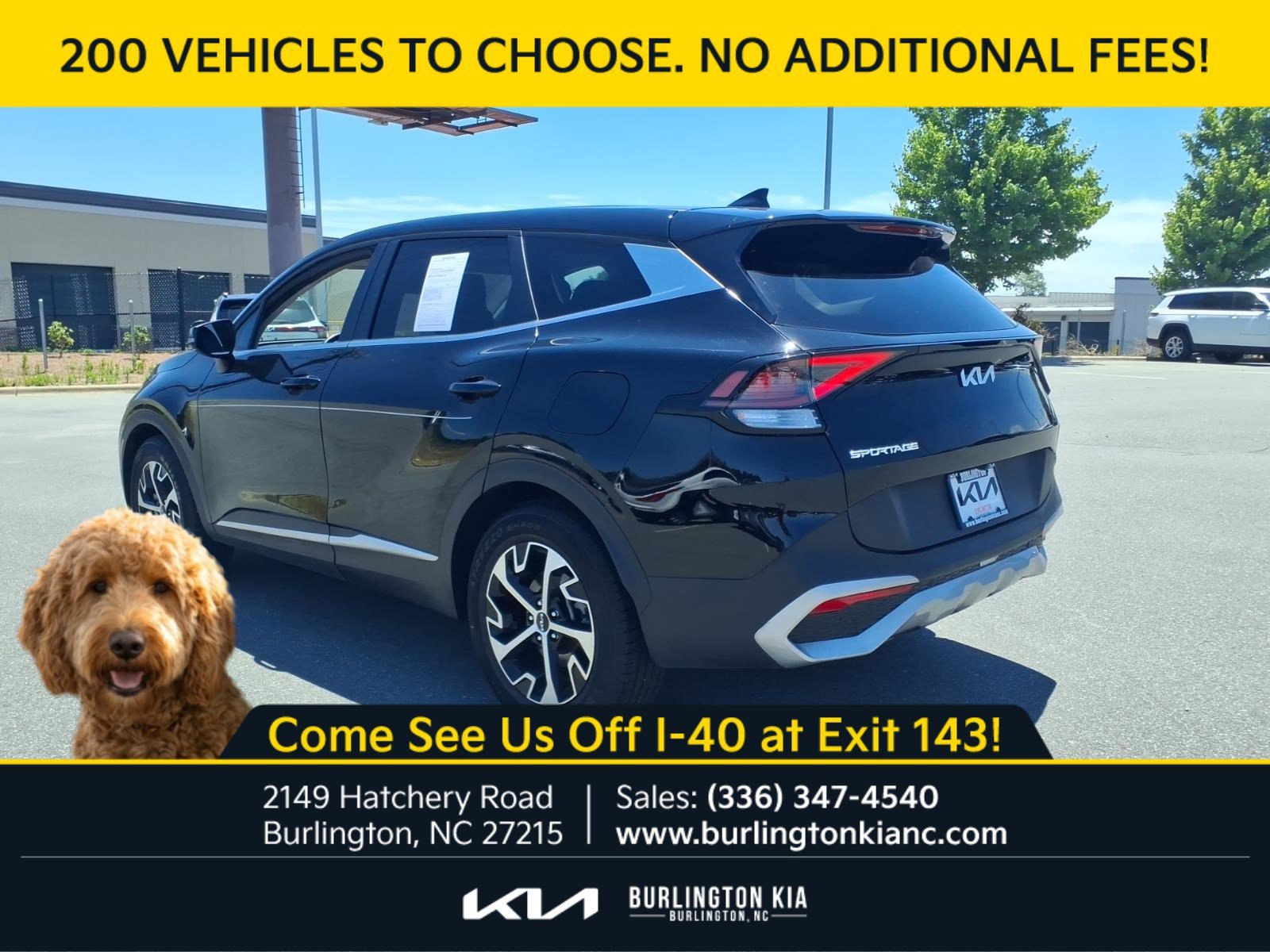 Certified Used 2024 Ebony Black Kia EX image 23
