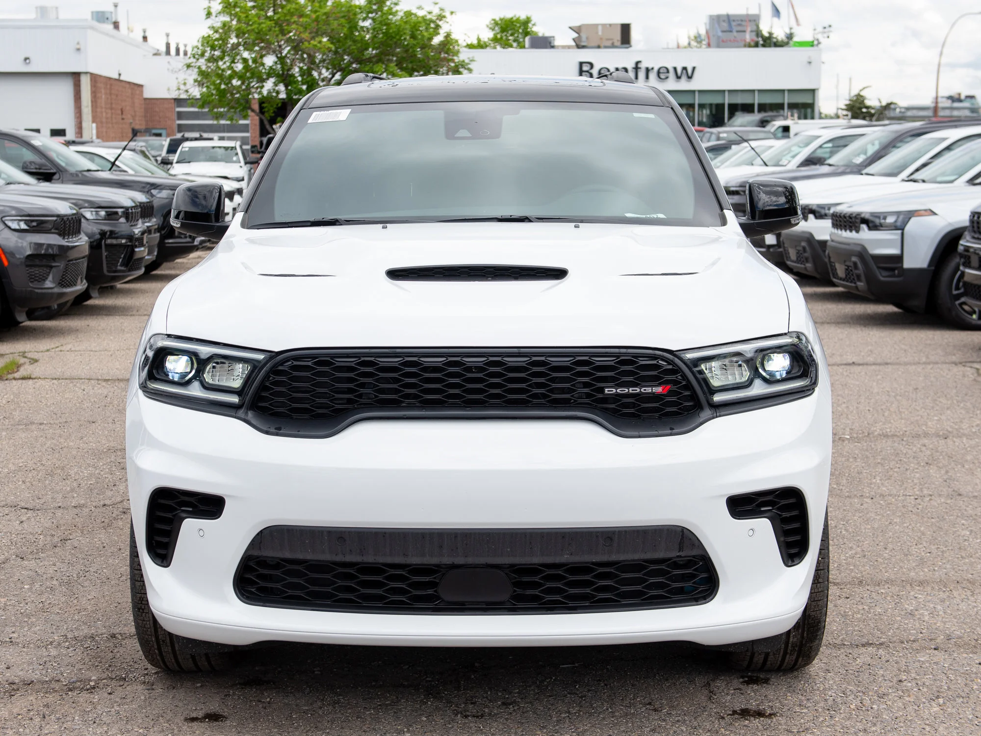 New 2026 White Dodge GT Plus* image 8