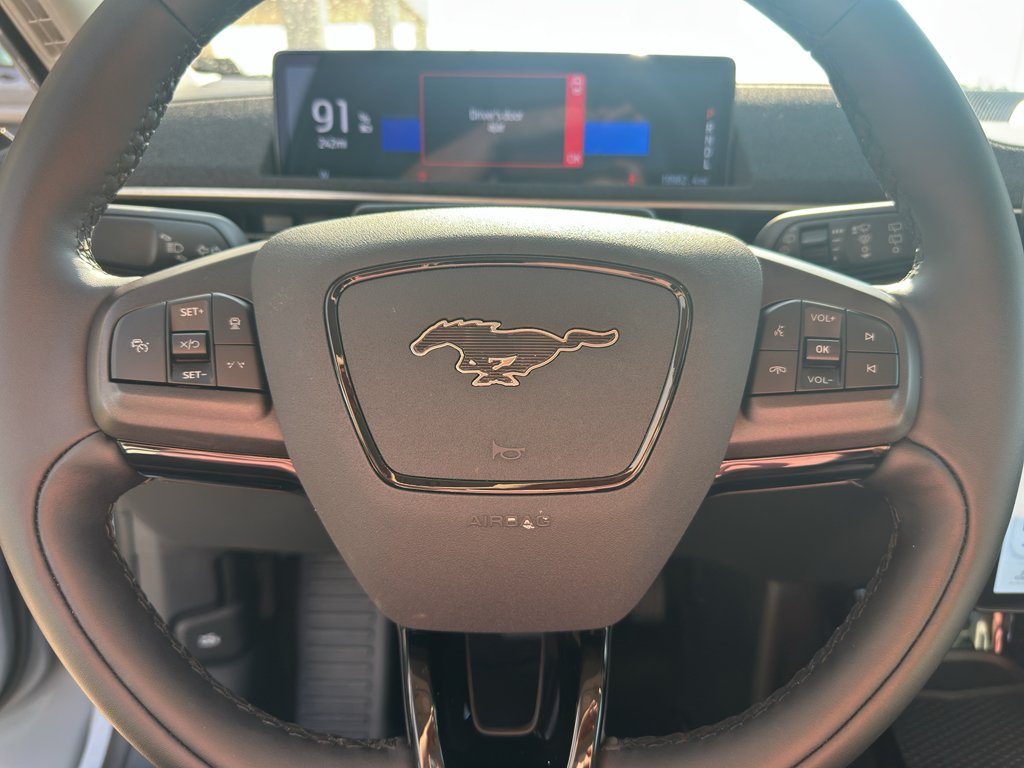 Used 2024 Glacier Gray Metallic TriCoat Ford Premium image 17