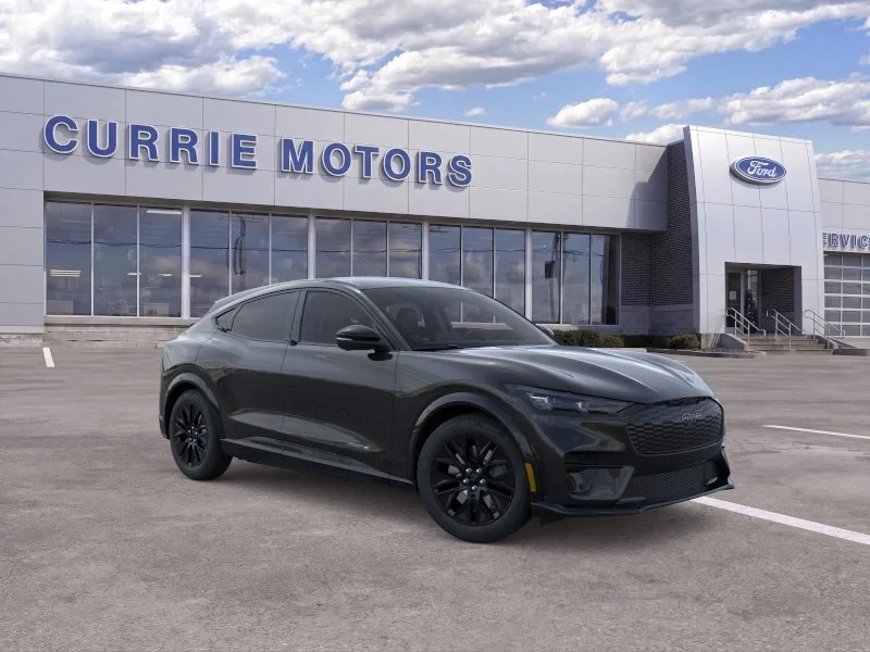 New 2026 Shadow Black Ford Premium image 7