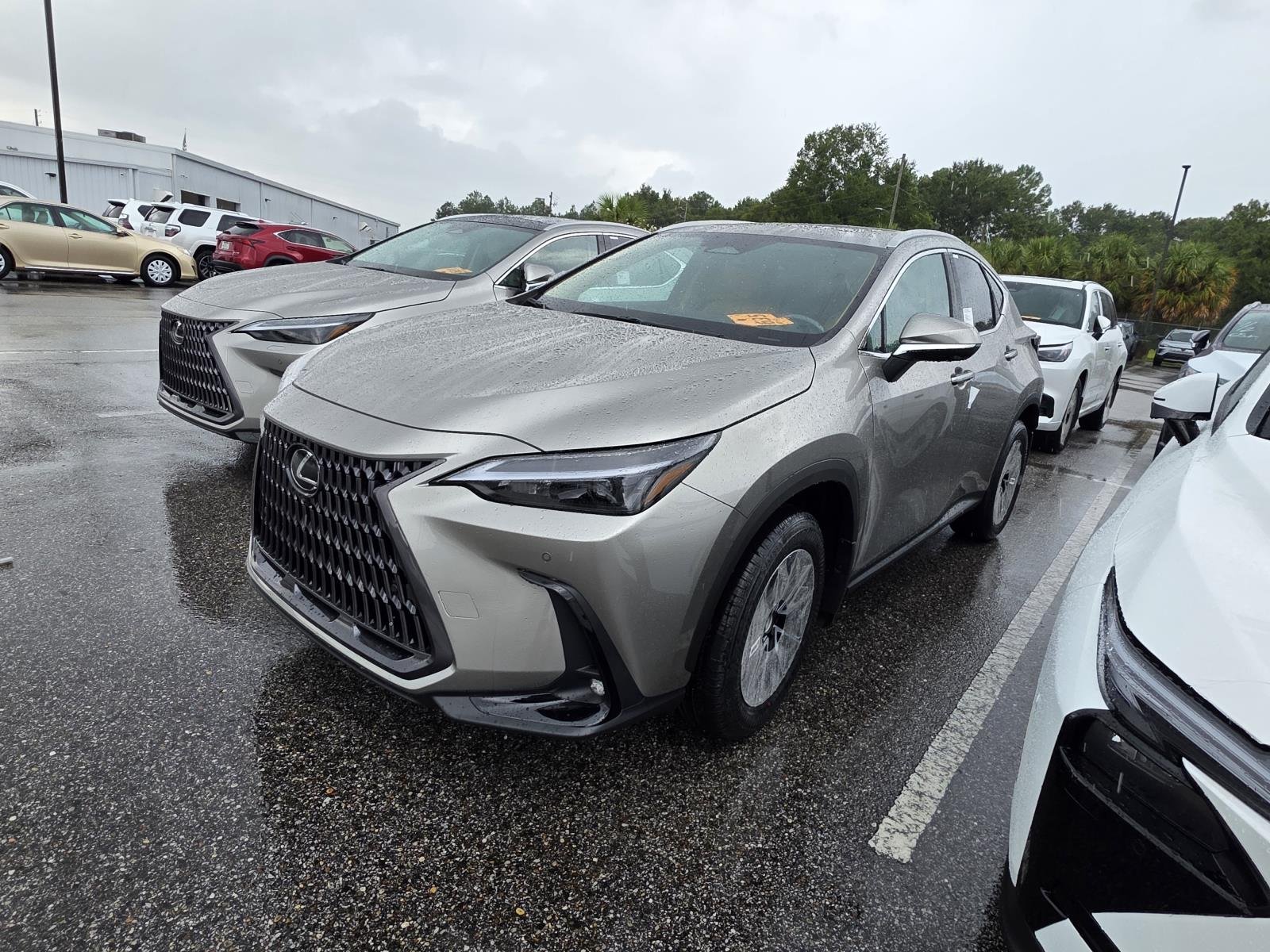 2026 Lexus NX