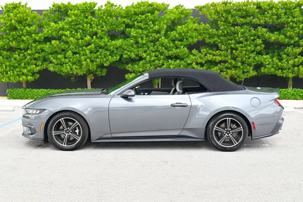 Used 2024 Gray Ford EcoBoost Premium image 8