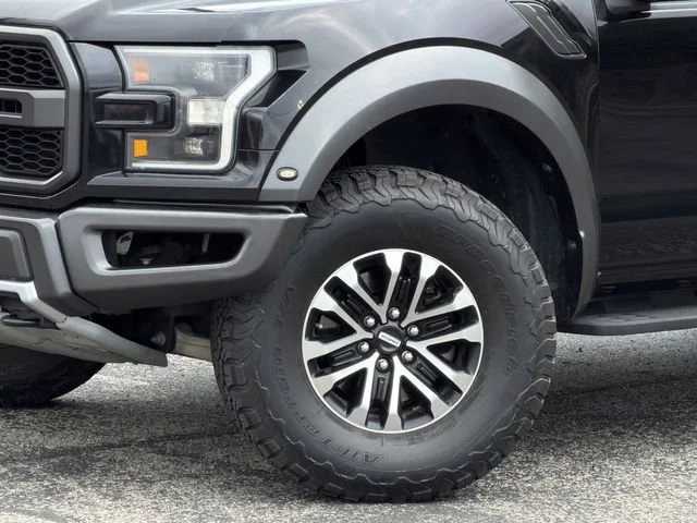 2019 Ford F-150 Raptor - Photo 8