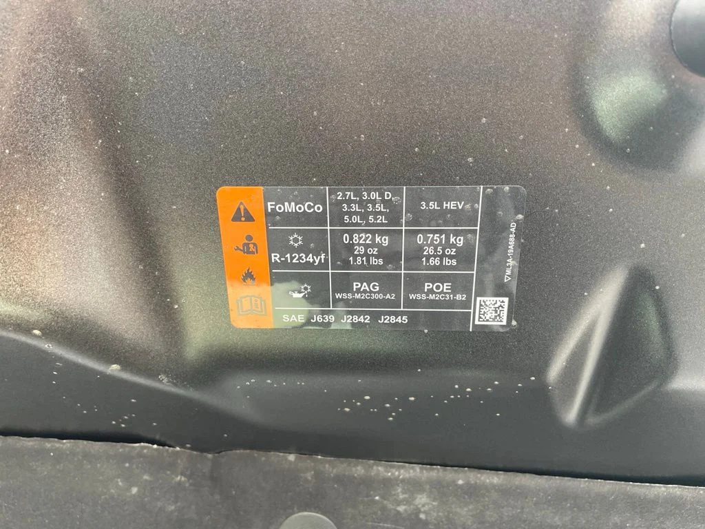 2025 Ford F-150 XLT - Photo 62