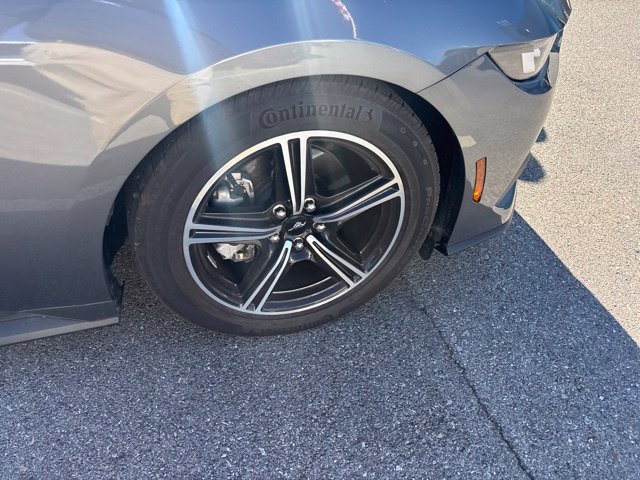 Used 2024 Gray Ford EcoBoost image 25