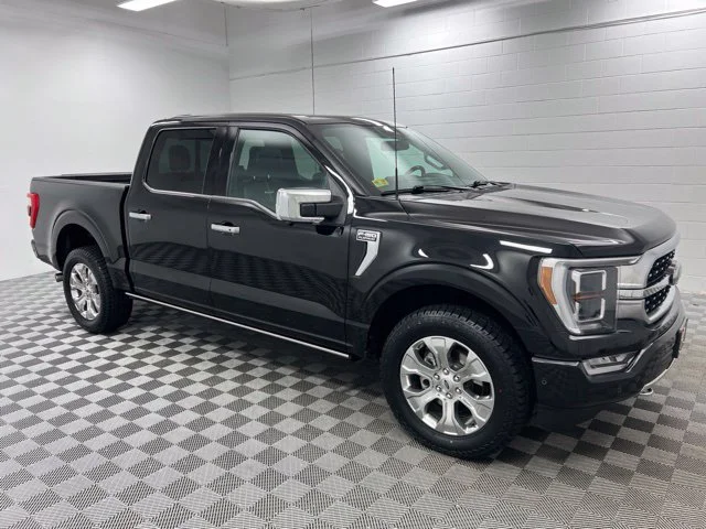 Used 2023 Black Ford Platinum image 4