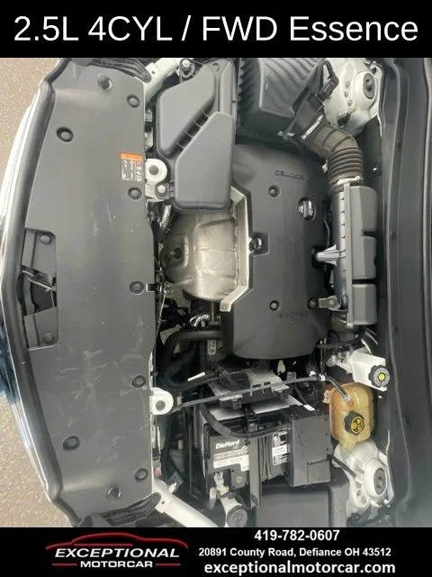 View 50