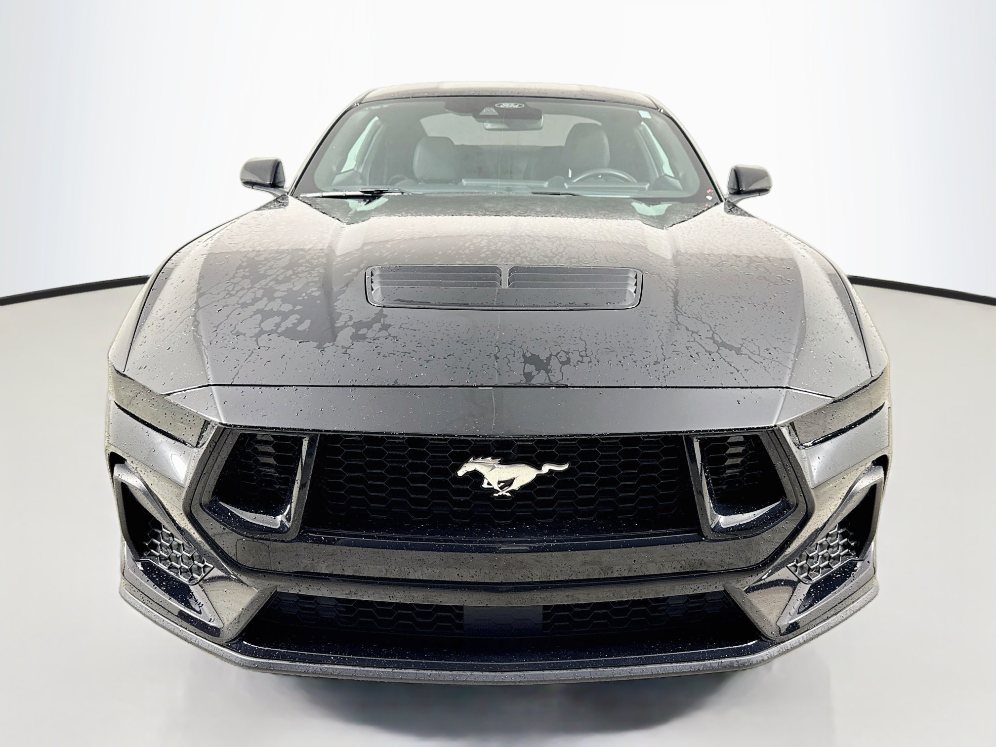 Used 2024 Blk Ford GT image 2