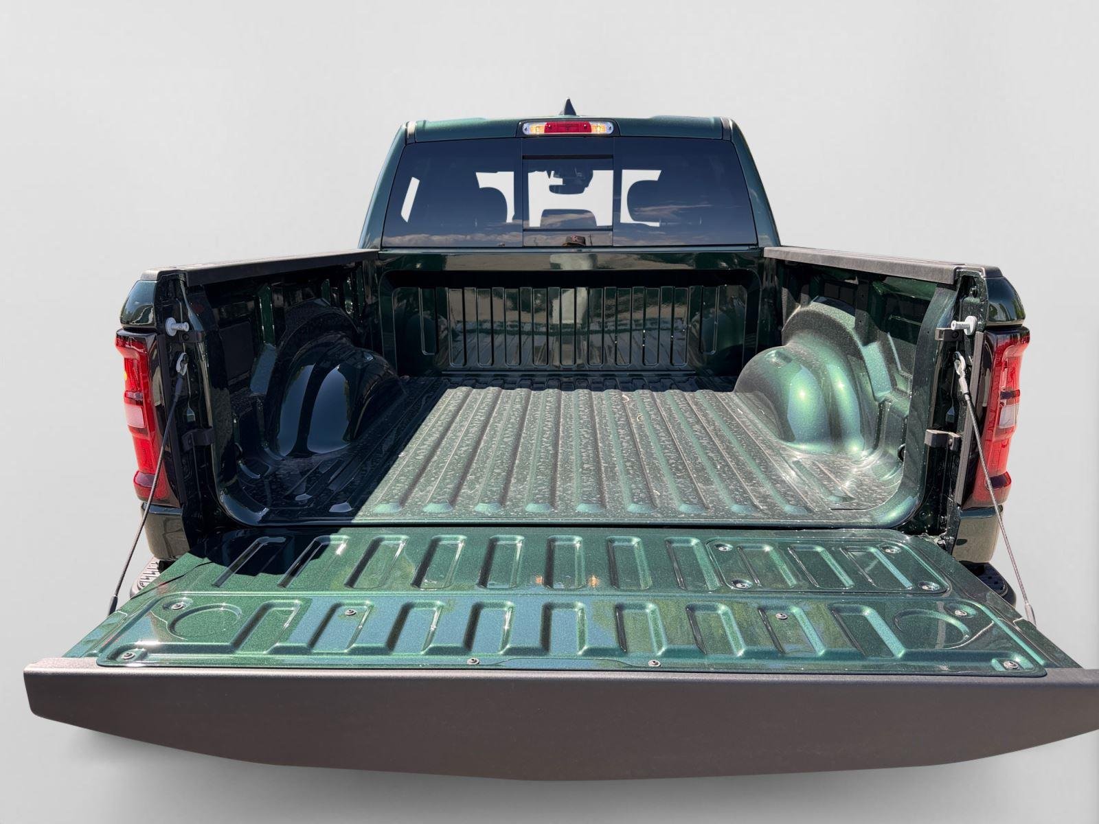 New 2026 Serrano-Green Metallic Exterior Paint RAM Rebel image 19