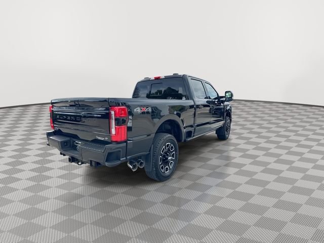 Used 2026  Ford Platinum image 9