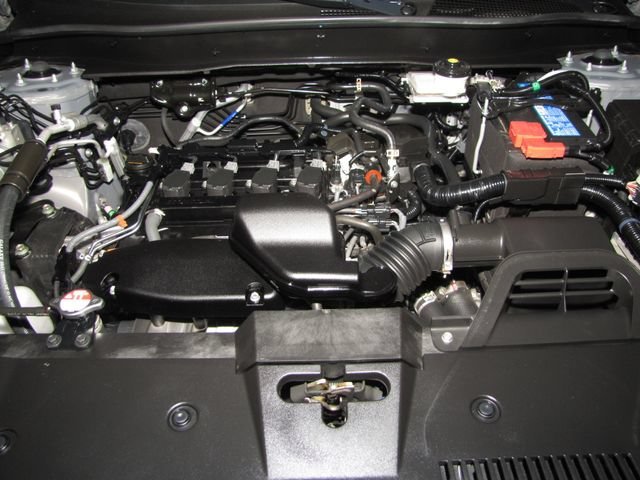 Photo 49