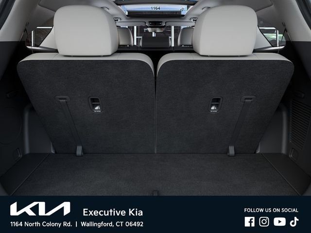 New 2026 Panthera Metal Kia S image 19