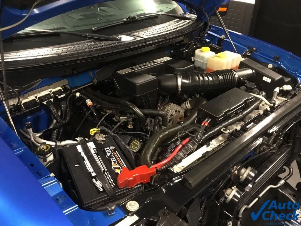 Used 2014 Blue Ford SVT Raptor image 44