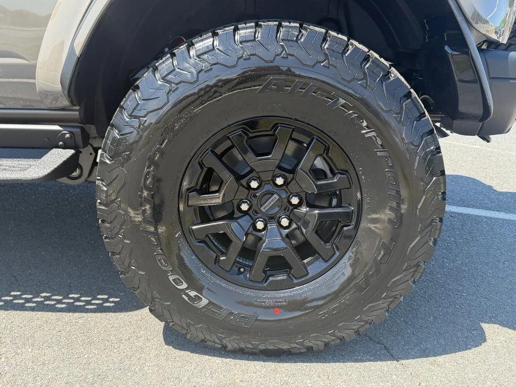 New 2026 Gray Ford Raptor image 12