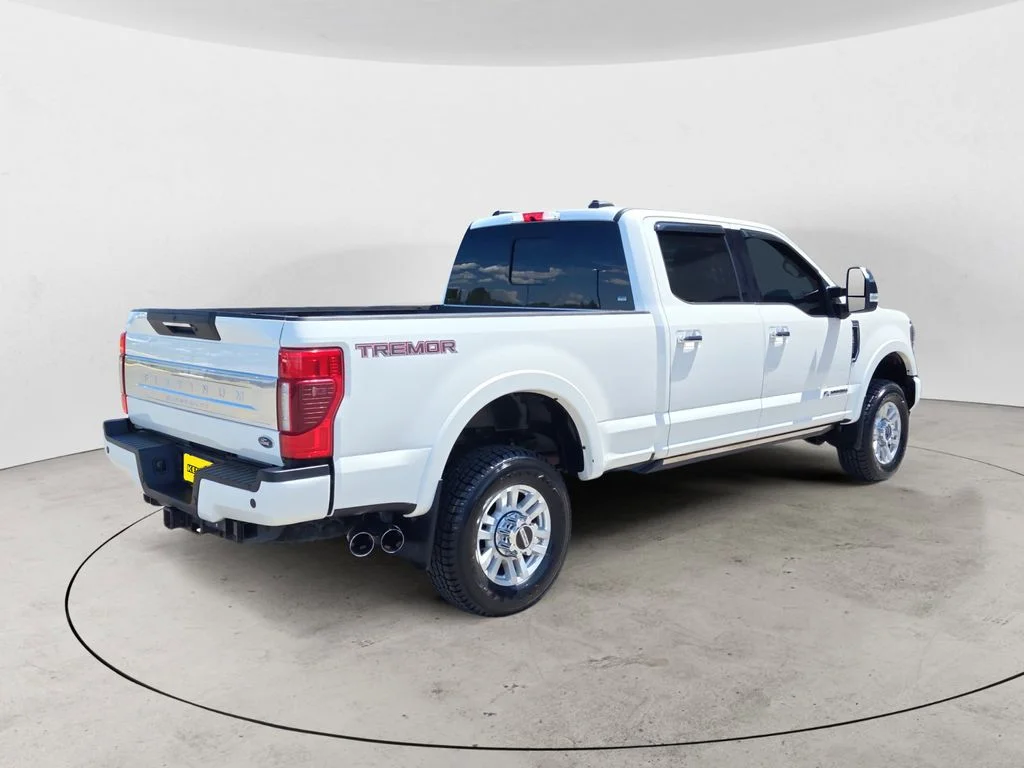 Used 2020 White Ford Platinum image 5
