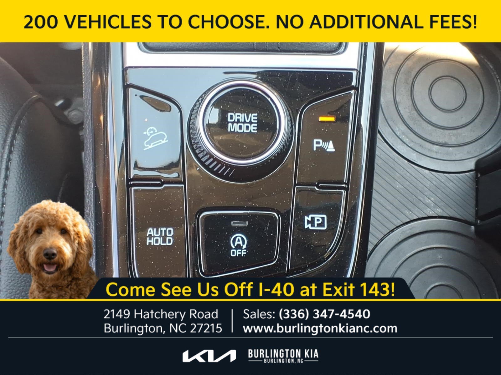 Certified Used 2024 Ebony Black Kia EX image 15