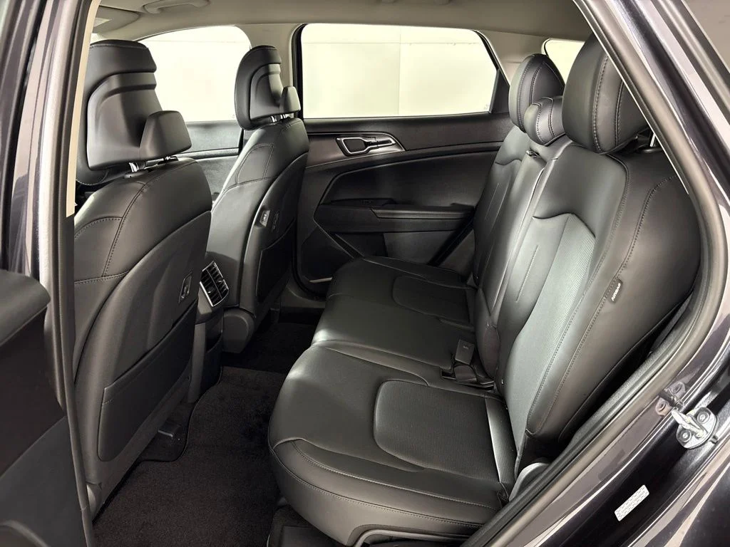 New 2026 Panthera Metal Kia EX image 23