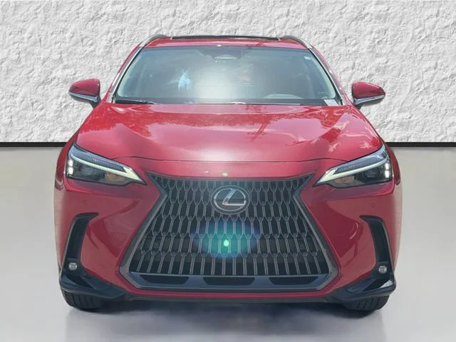 Certified Used 2024 Red Line Lexus NX 250 Premium image 8