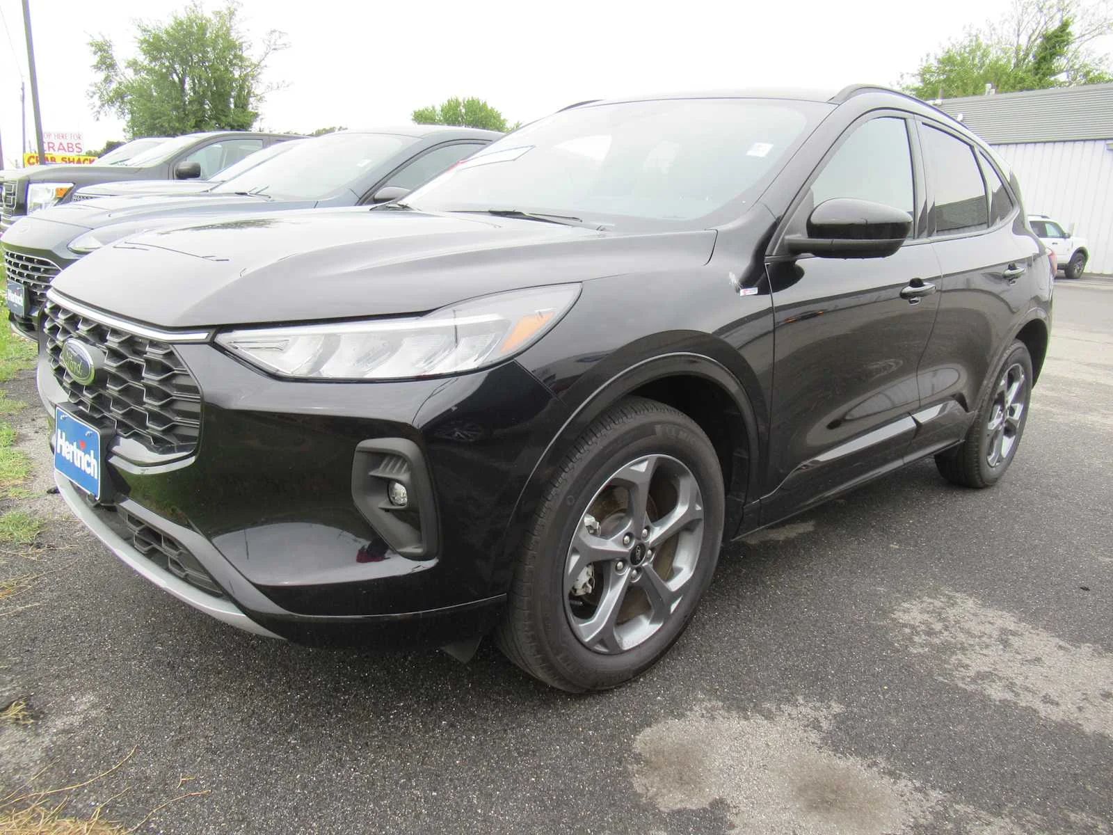 2023 Ford Escape ST-Line Select