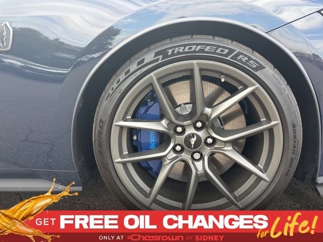 2025 Ford Mustang Dark Horse - Photo 12