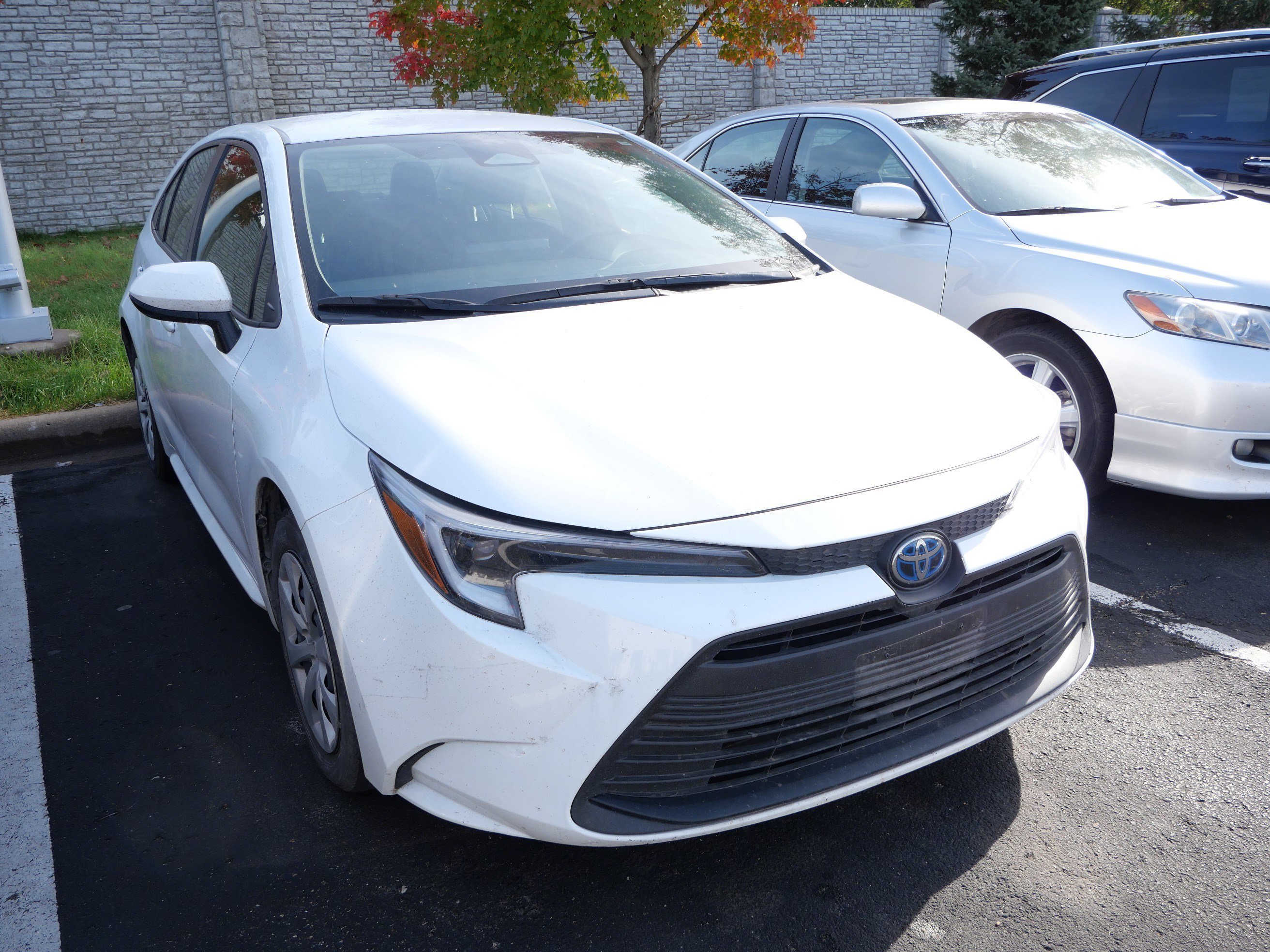 Used 2025 Ice Cap Toyota Hybrid LE image 4