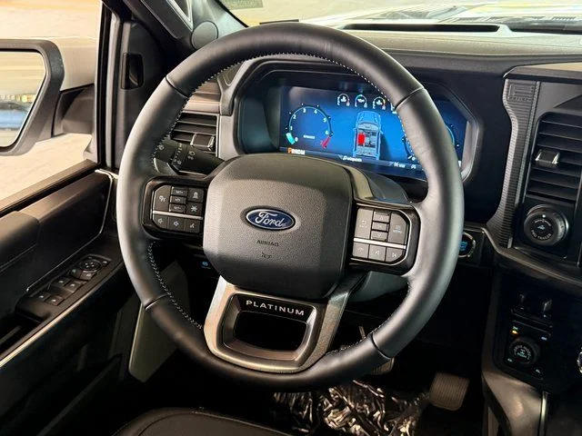 New 2026 White Ford Platinum image 19