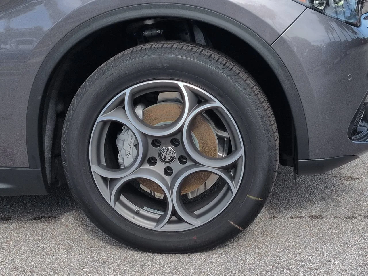 New 2026 Vesuvio Gray Metallic Exterior Paint Alfa Romeo  image 10