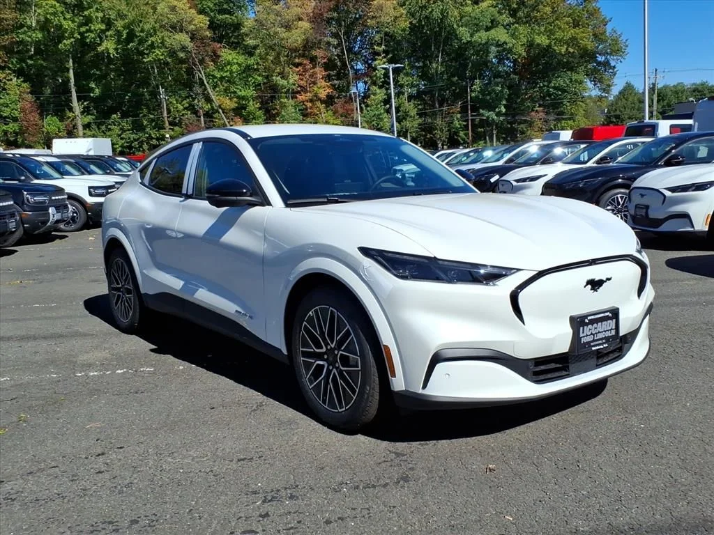 2025 Ford Mustang-Mach-e Premium's photo