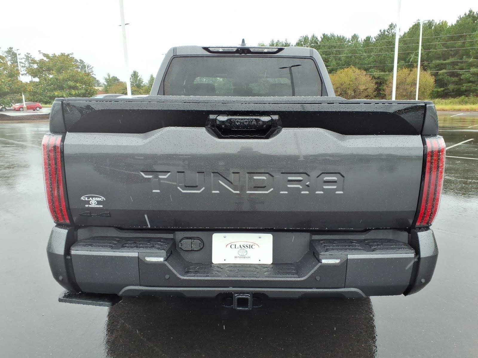 New 2026 Magnetic Gray Metallic Toyota Platinum image 12