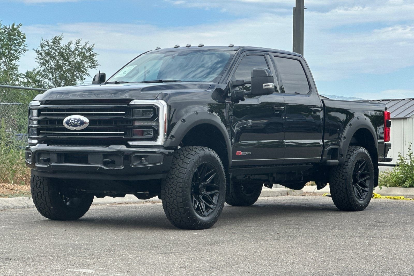Used 2025  Ford Platinum image 7
