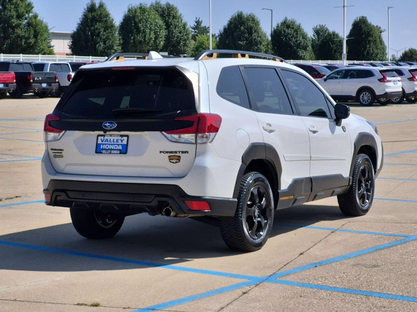 Used 2022 Crystal White Pearl Subaru Wilderness image 6