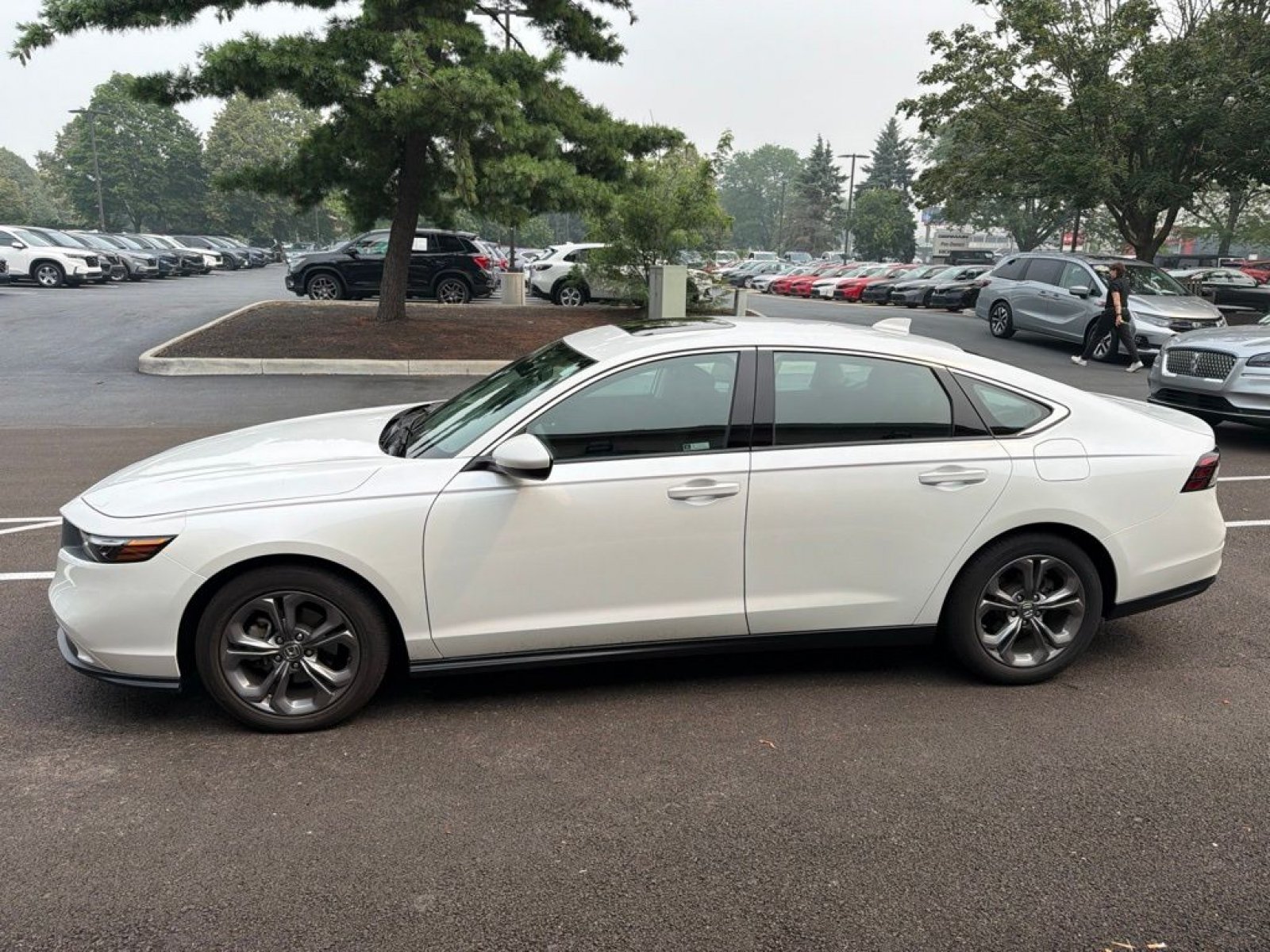 Certified Used 2024 Platinum White Pearl Honda EX image 5