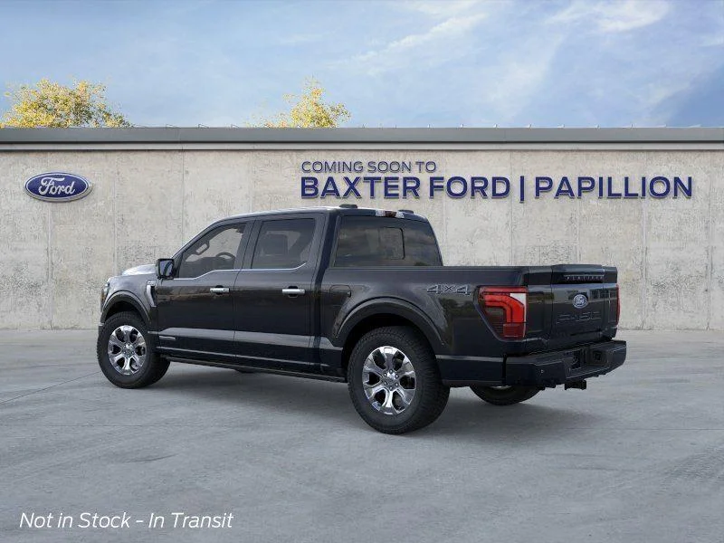 New 2026 Agate Black Ford Platinum image 19