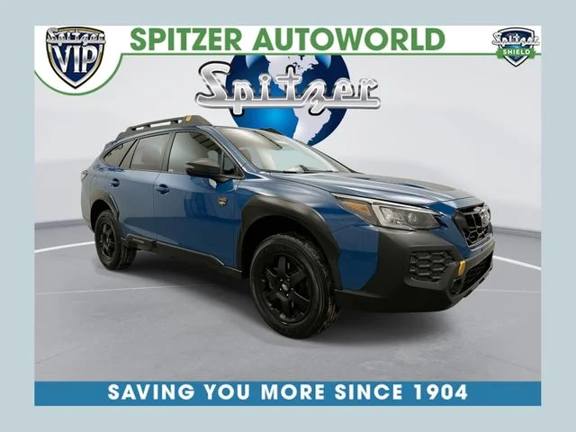 Used 2024 Blue Subaru Wilderness image 1