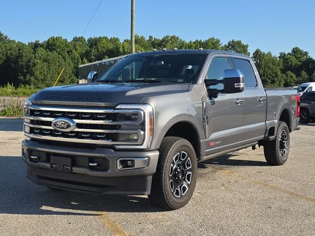 Used 2024 Gray Ford Platinum image 1