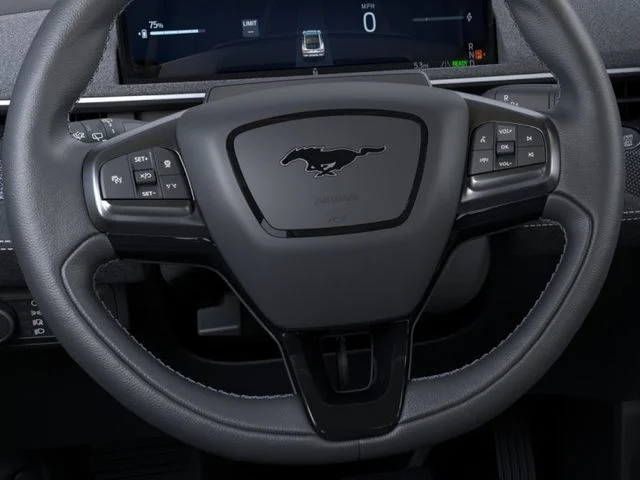 2025 Ford Mustang Mach-E GT - Photo 12