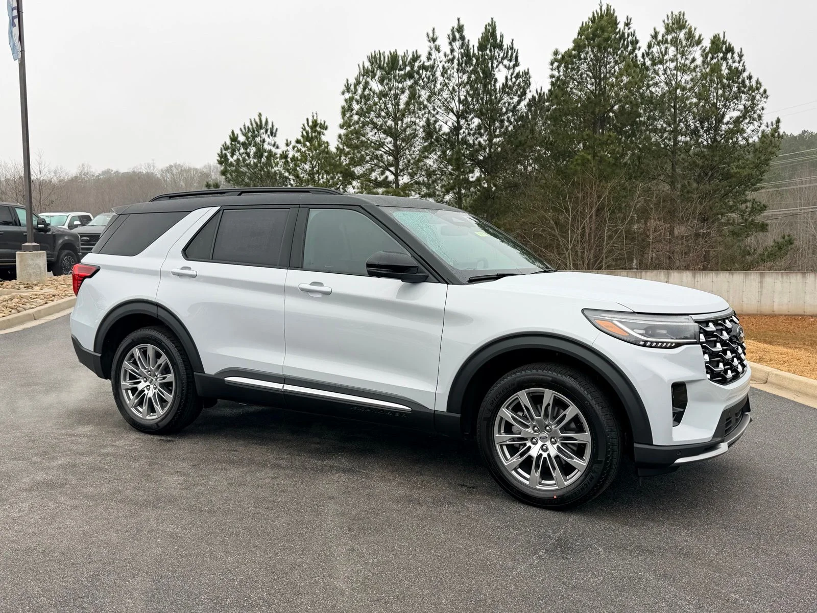 New 2026 White Ford Platinum image 20