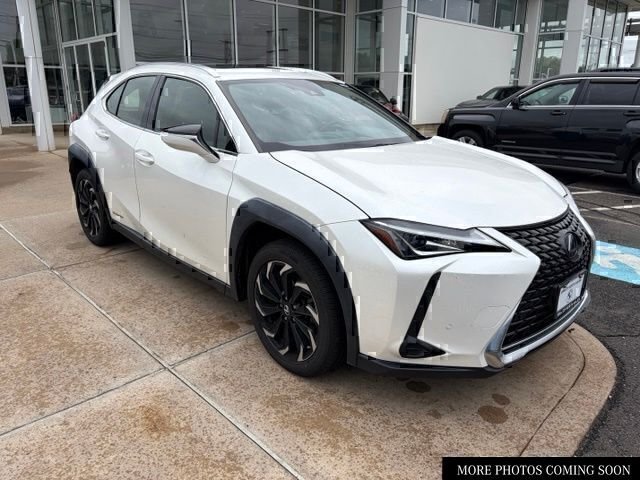 2020 Lexus UX 300h 250h AWD's photo
