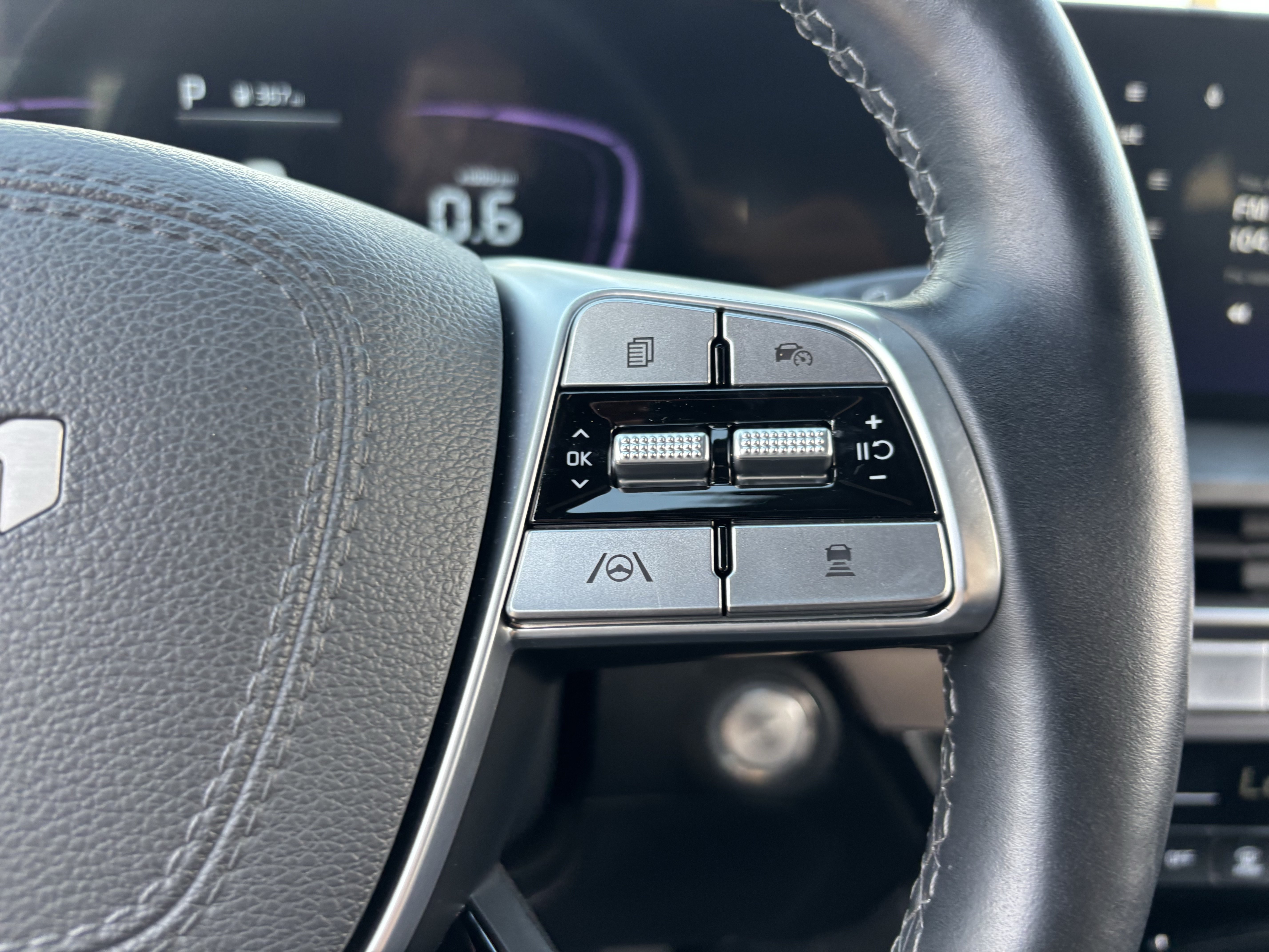Certified Used 2025 Panthera Metal Kia EX X-Line image 27