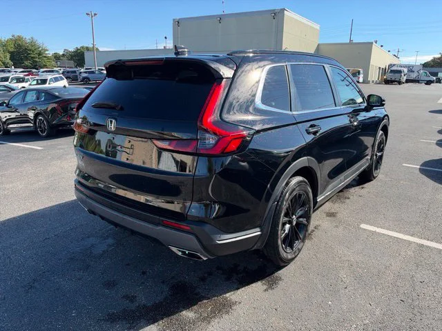 Used 2025 Black Honda Sport image 6