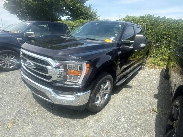 Used 2023 Black Ford XLT image 1