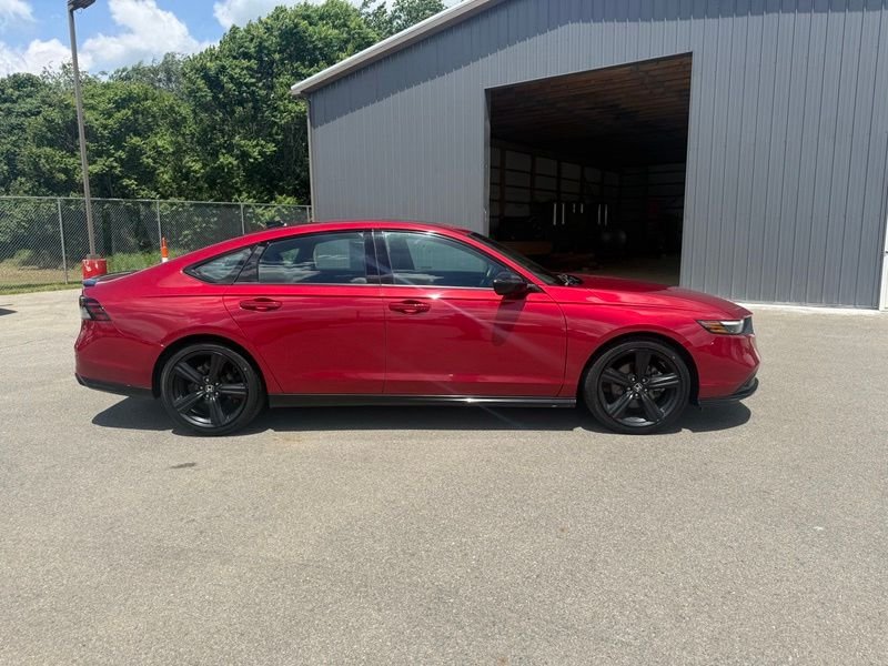 Used 2024  Honda Sport-L image 5