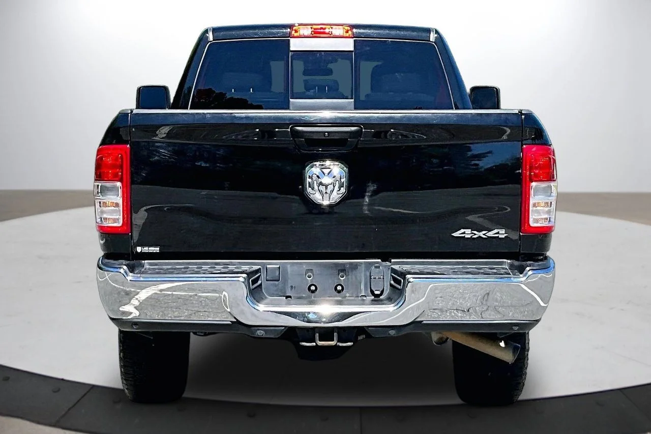 Used 2024 Black Ram Tradesman image 8